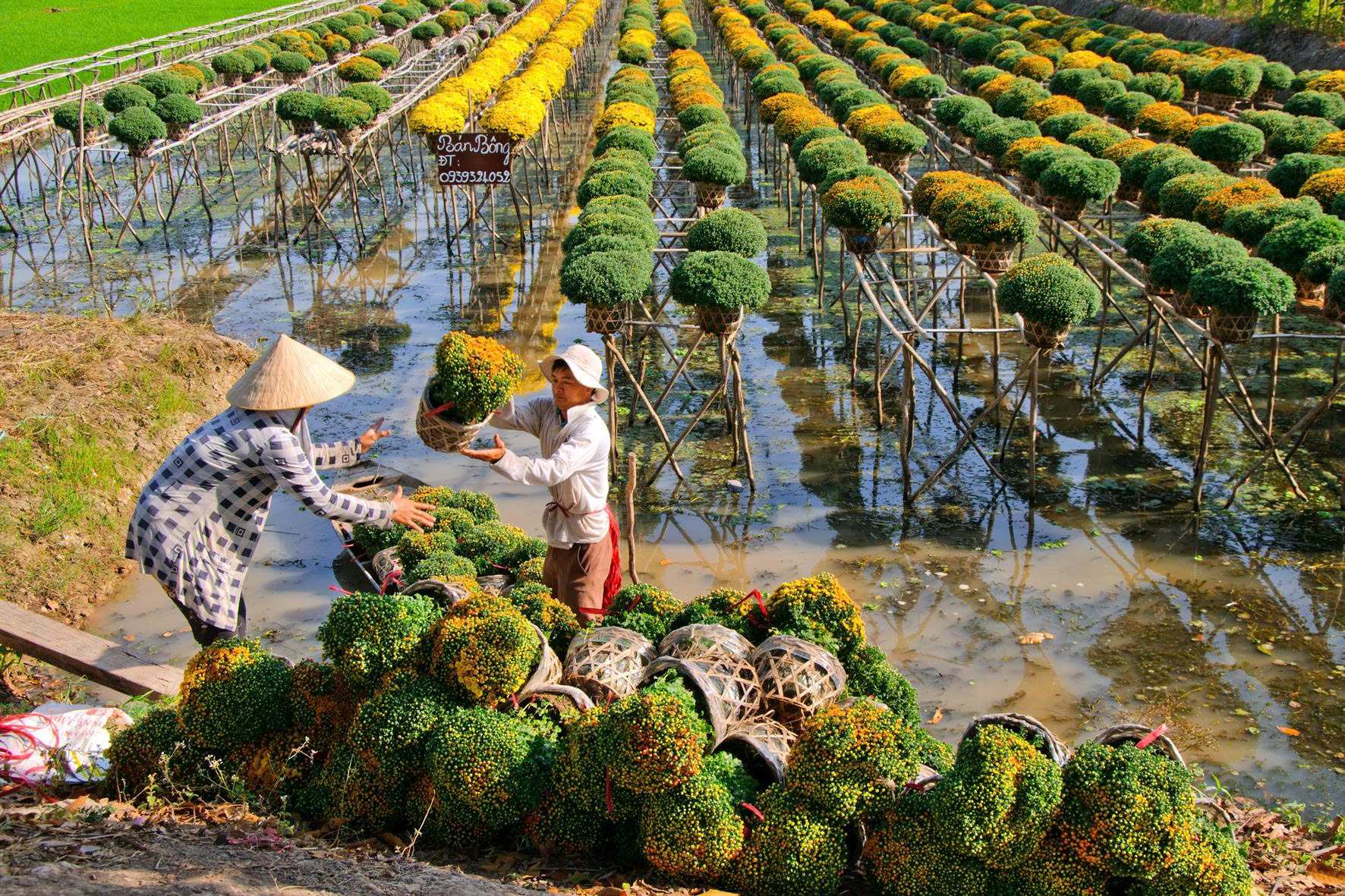 lắp mạng viettel xã Vĩnh Bình