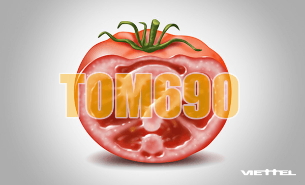 PG88 là nhà cái trực tuyến uy tín được cấp phép Curacao eGaming tomato690